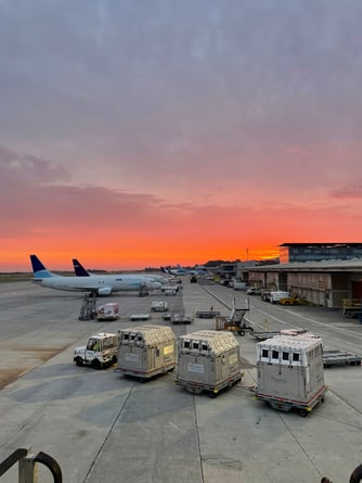 Stalls, cargo plane and sunset