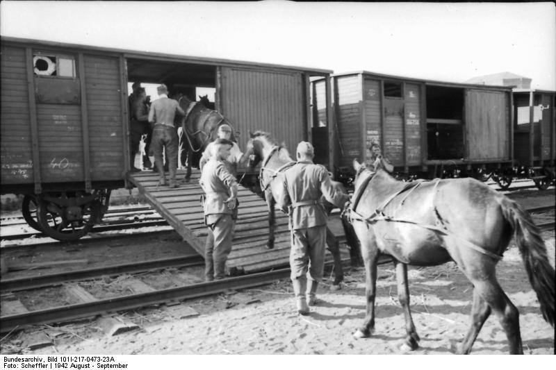 German Federal Archive.  Description: Sowjetunion, Süd.- Verladen von Pferden in einen Zug "Soviet Union, South.- Horses being loaded into a train."  [1:42]  August 1942